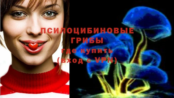 мдпв Арсеньев
