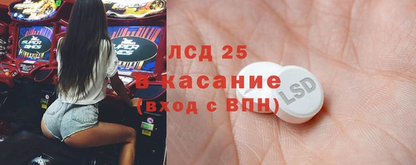 гидра Надым